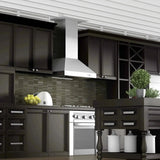 ZLINE Ducted Wall Mount Range Hood in Outdoor Approved Stainless Steel 697-304-48