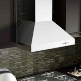 ZLINE Ducted Wall Mount Range Hood in Outdoor Approved Stainless Steel 697-304-60