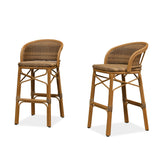 PURPLE LEAF Outdoor Bar Stools Set of 2 Rattan Patio Tall Bar Chairs Aluminum Frame with Back Barstools for Kitchen Garden Backyard Bistros Restaurant