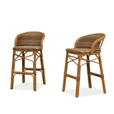 PURPLE LEAF Outdoor Bar Stools Set of 2 Rattan Patio Tall Bar Chairs Aluminum Frame with Back Barstools for Kitchen Garden Backyard Bistros Restaurant