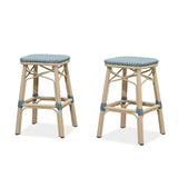 PURPLE LEAF Outdoor Bar Stools Set of 2 Rattan Patio Tall Bar Chairs Aluminum Frame with Back Barstools for Kitchen Garden Backyard Bistros Restaurant