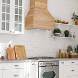 CIARRA 20 Inch Stainless Steel Range Hood Insert, Built-In Under Cabinet Design CAS52913E-N-OW