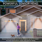 Moss & Stone 231 LED Solar Motion Sensor Lights