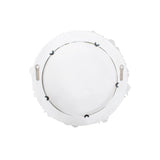 Whitewater Shell Mirror