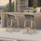 PURPLE LEAF Outdoor Bar Stools Set of 2 Rattan Patio Tall Bar Chairs Aluminum Frame with Back Barstools for Kitchen Garden Backyard Bistros Restaurant