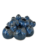 Sulawasi Blue Shells