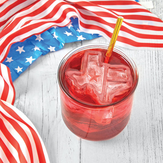 Texas Ice Molds - Set of 2