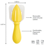 Citrus Reamer