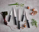 Elevate™ Carousel 5-piece Multicolour Knives Set