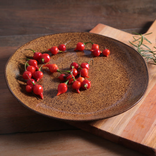 DINNER PLATE ORGANIC STONEWARE Ø 10.43" DIJON