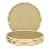 Gibson Elite - Made in Portugal - Port Gaia 10.2 Inch Dinner Plates Set of 4 - Reactive Glaze Dish Set