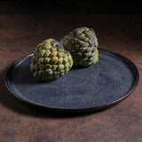 DINNER PLATE BIO STONEWARE Ø 11.42" TITANIUM