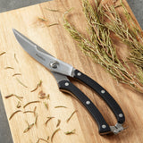 BergHOFF DiNA Gene Stainless Steel Poultry Shears, 10"