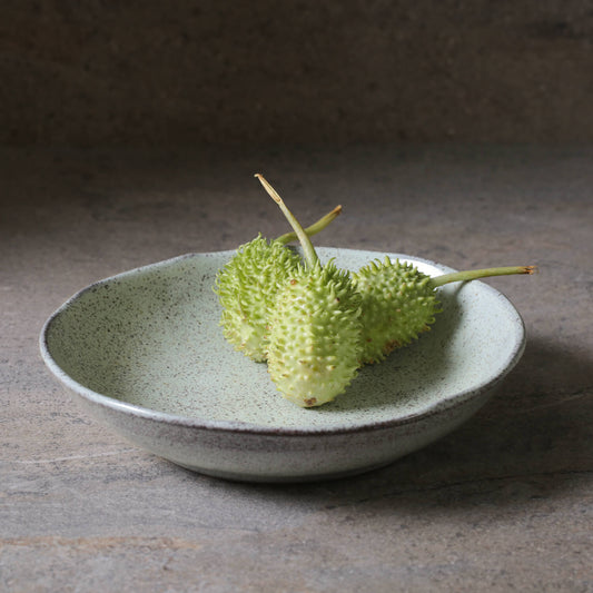 SOUP PLATE BIO STONEWARE Ø 8.86" PISTACHE