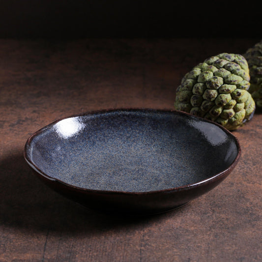 SOUP PLATE BIO STONEWARE Ø 8.86" TITANIUM
