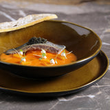 SOUP PLATE BIO STONEWARE Ø 8.86" AMBER