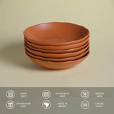 SOUP PLATE BIO STONEWARE Ø 8.86" TERRACOTTA