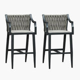PURPLE LEAF Outdoor Bar Stool Set of 2 Aluminum Frame Bar Chair with Cushion and Back Kitchen Island Bar Stools