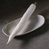 DEEP OVAL PLATTER LARGE ORGANIC STONEWARE Ø 12.6x6.3" LATTE