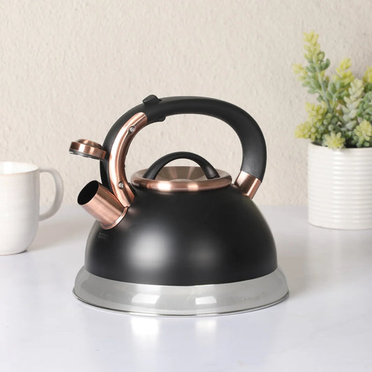 Mr. Coffee Flintshire 2.2 Quart Large Whistling Stainless Steel Tea Kettle