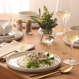 Gibson Elite Tahoe Sunset 12 Piece Stoneware Reactive Glaze (Service for 4) Ceramic Plates and Bowls Dinnerware Set