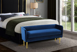 Audrey Contemporary Velvet Bench with Golden Legs – Stylish Seating for Modern Homes and Spaces