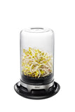 Sprouting Jar - BIVITA