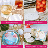 By the Shore Sand Dollar Drink Coaster Set of 4