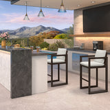 PURPLE LEAF Caesar Bar Stools Modern Aluminum Barstools with Stainless Removable Cushion for Kitchen Outside Island Backyard