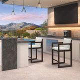 PURPLE LEAF Caesar Bar Stools Modern Aluminum Barstools with Stainless Removable Cushion for Kitchen Outside Island Backyard