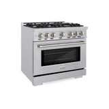 ZLINE 36" Select Dual Fuel Range Gas Cooktop Electric Convection Oven Stainless Steel HDR36