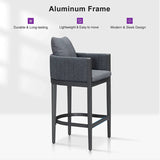 PURPLE LEAF Sanori Outdoor Bar Stools Set of 2 Modern Olefin Weaving Bar Chairs with Backrest Pillow for Patio, Poolside or Indoor