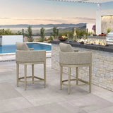PURPLE LEAF Sanori Outdoor Bar Stools Set of 2 Modern Olefin Weaving Bar Chairs with Backrest Pillow for Patio, Poolside or Indoor