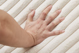 ALARA 87" Sofa