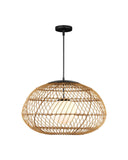Carriage Outdoor Pendant