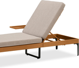 PURPLE LEAF Outdoor Chaise Lounge Patio Lounge Chair Recliner with Side Table and Cushion for Poolside Balcony Backyard