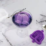 Rainbow Ice Molds - Set of 2