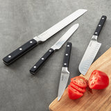 BergHOFF DiNA Gene 4pc Stainless Steel Knife Set