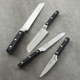 BergHOFF DiNA Gene 4pc Stainless Steel Knife Set