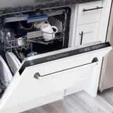 24" Dishwasher with White Matt panel, Stainless Tub, DWV-WM-24