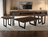 Raramuri End Table - Mango Wood Live-Edge Occasional Table