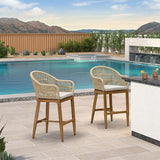 PURPLE LEAF Outdoor Bar Stools Rattan Bar Stools Counter Stools with Back and Cushions  for Patio, Garden, Kitchen