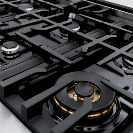ZLINE 48" Select Gas Range Gas Convection Gas Oven Stainless Steel Black Matte Door HGR-BLM-48