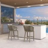 PURPLE LEAF Outdoor Bar Stools Patio Modern Aluminum Rattan High Back & Arms Bar Chairs with Removable Cushions and Pillows  for Outdoor or Indoor