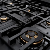 ZLINE 48" Dual Fuel Range, Gas Cooktop, Electric Convection Oven Black Stainless Steel Brass Burners, CDRB-BR-48
