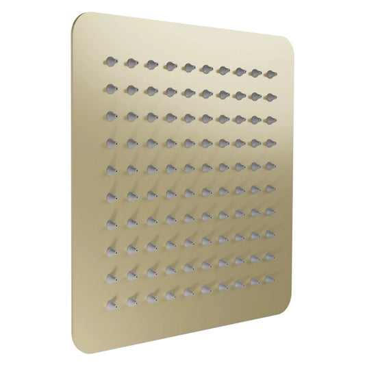 ZLINE 12" Bliss Shower Head in Champagne Bronze BLS-H12-CB