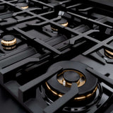ZLINE 36" Select Dual Fuel Range Gas Cooktop Electric Convection Oven Black Stainless Steel Champagne Bronze HDRBZ-36-CB