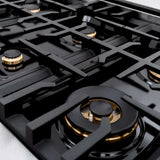 ZLINE 36" Dual Fuel Range, Gas Cooktop, Electric Convection Oven DuraSnow® Stainless Steel, Champagne Bronze CDRSZ-36-CB
