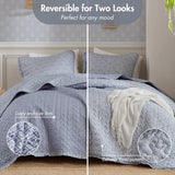 3pc Ruffle Printed Vermicelli Stitched Quilt Set, Blue