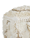 Boardwalk White Shell Jewelry Box